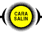 Cara Salin